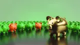 MARTIN MEIJER FINANCE EN CONTROL GRONINGEN, spaarvarkens in een kring